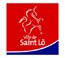 LOGO SAINT LOweb.jpg